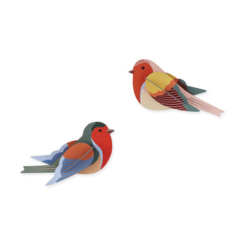 DIY Garden Bird Wall Art Kits - Robins