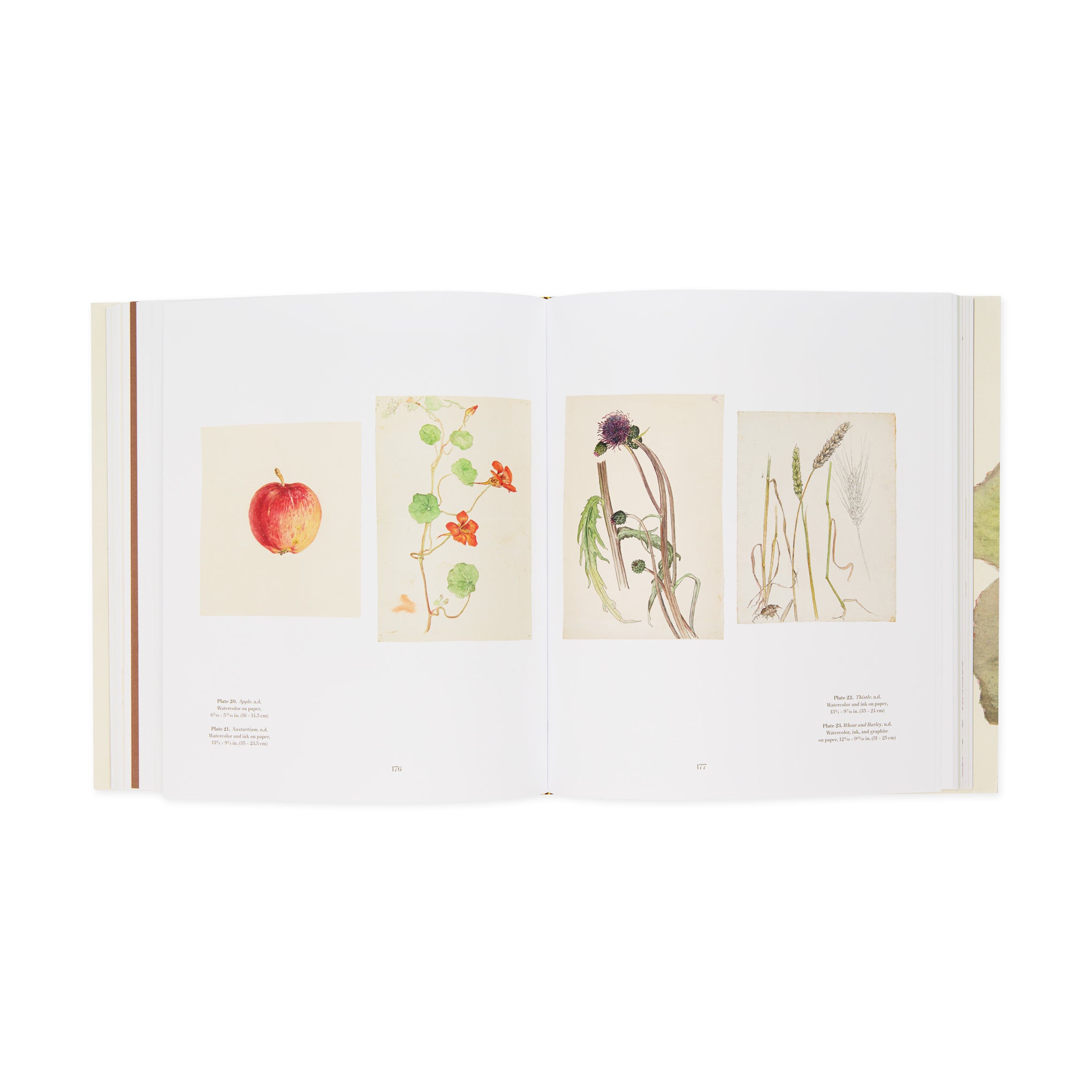 Hilma af Klint: What Stands Behind the Flowers – Hardcover – MoMA