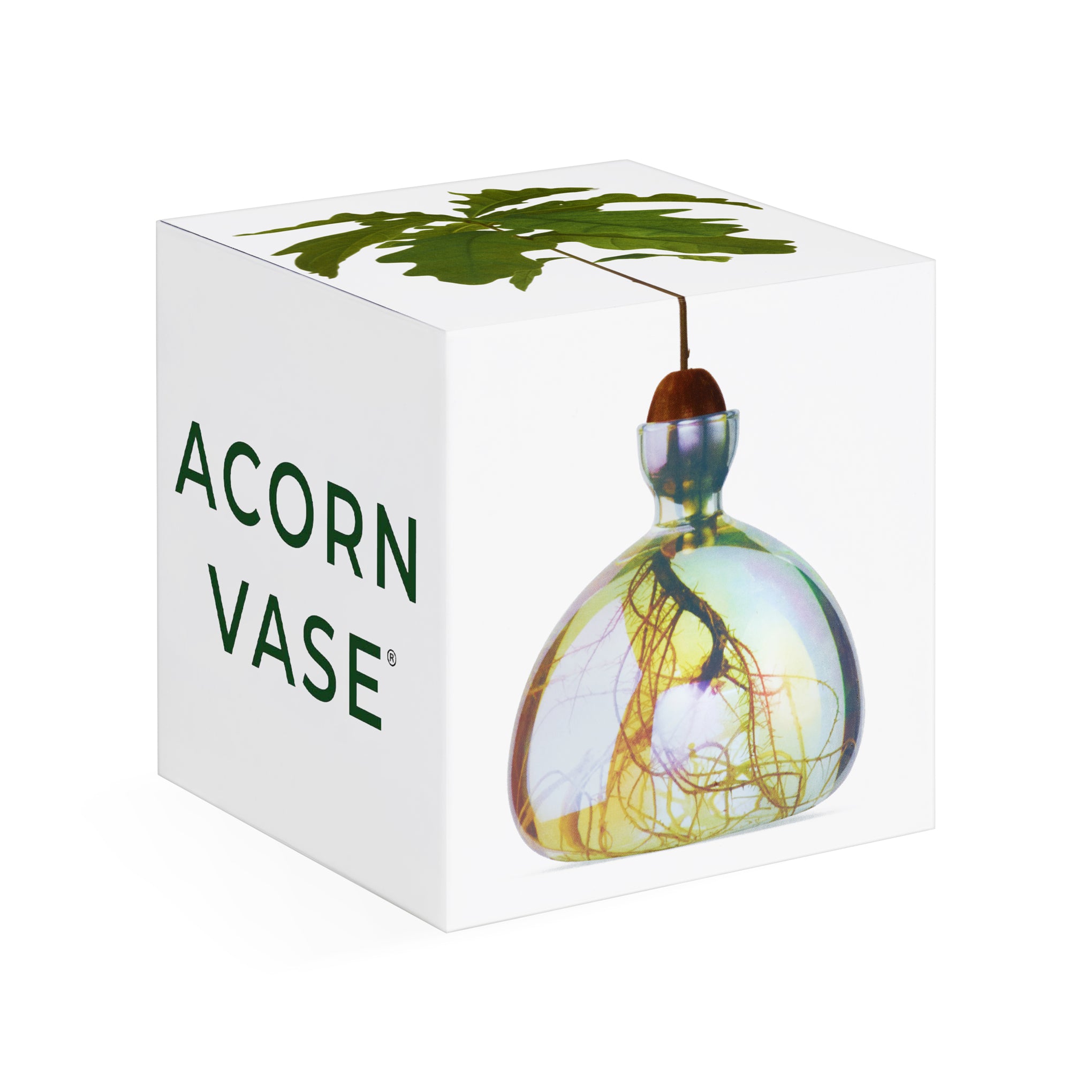 Acorn Vase - Iridescent – MoMA Design Store